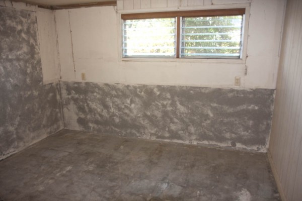 The next basement room, with the bare concrete floor mostly ground clean.