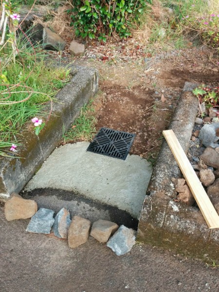 To funnel the water into the catch basin so it doesn't just sink into the ground before getting to it, I added a concrete "chute" between the pavement and the catch basin.